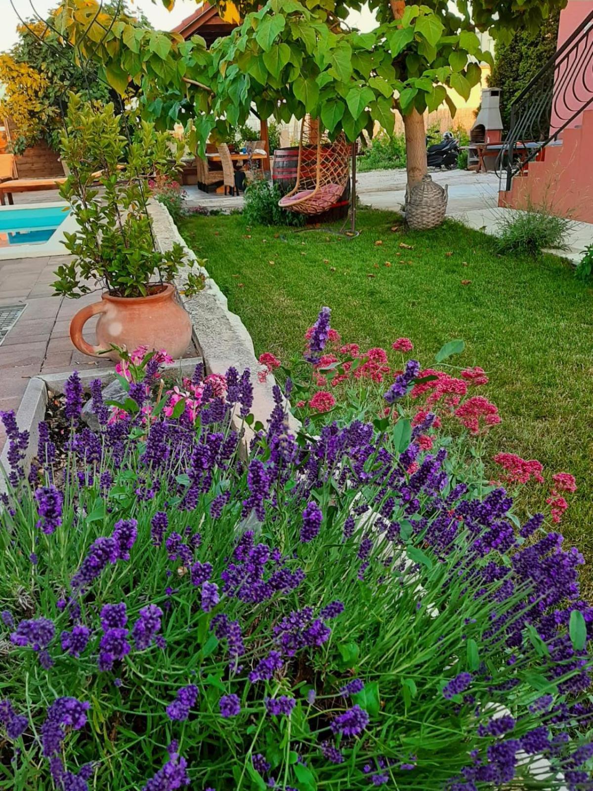 Apartment Smilje Sibenik Ngoại thất bức ảnh